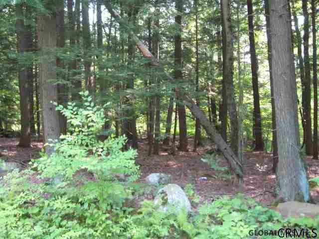 24 Lincoln Mountain Rd, Greenfield Center, NY 12833 - photo 1