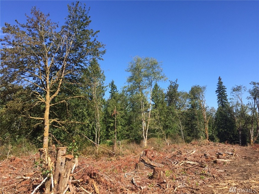 0 Center Rd unit 1021665, Quilcene, WA 98376 - photo 1