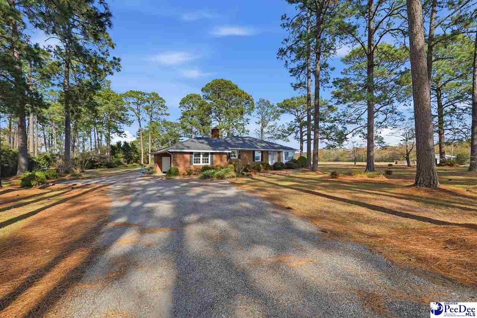 2218 N Douglas St, Florence, SC 29501 - photo 1