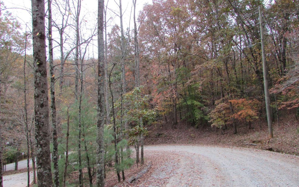 LT368 Summit Ln, Ellijay, GA 30540 - photo 1