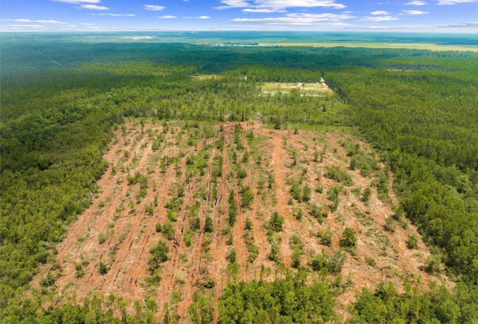 1628 Joe Dugger Rd, Freeport, FL 32439 - photo 1