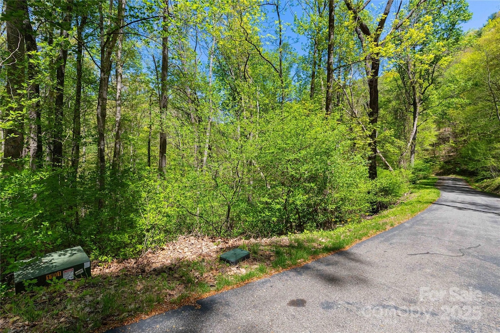 TBD Whispering Woods Path, Mars Hill, NC 28754 - photo 1