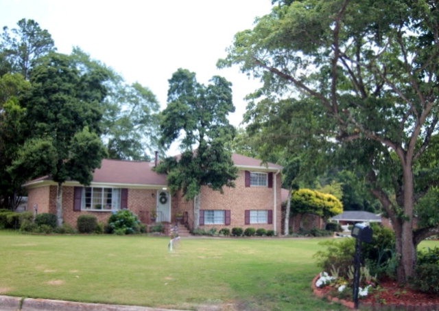 Main View
