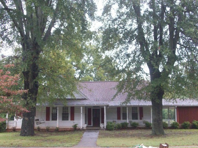 Main View