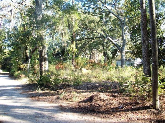 0 Atlantic Dr & 0 Maple unit 1551931, St. Simons Island, GA 31522 - photo 1