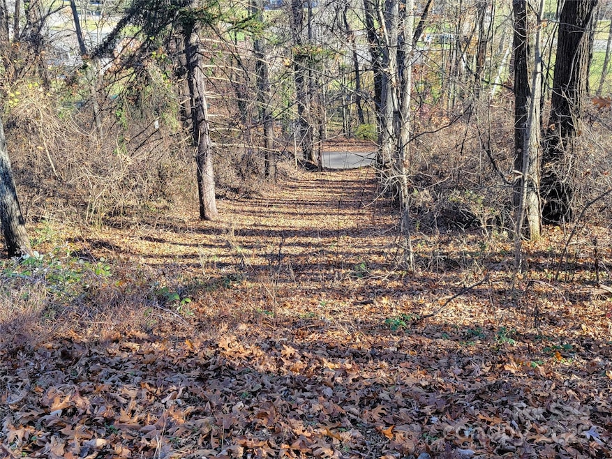 0 Blink Bonny Dr unit B9 & B11 CAR4292604, Waynesville, NC 28786 - photo 1