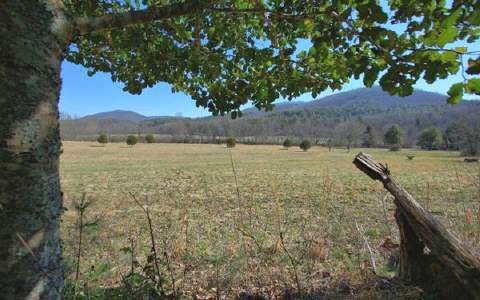 LOT10 Indian Village Rd, Blue Ridge, GA 30513 - photo 1