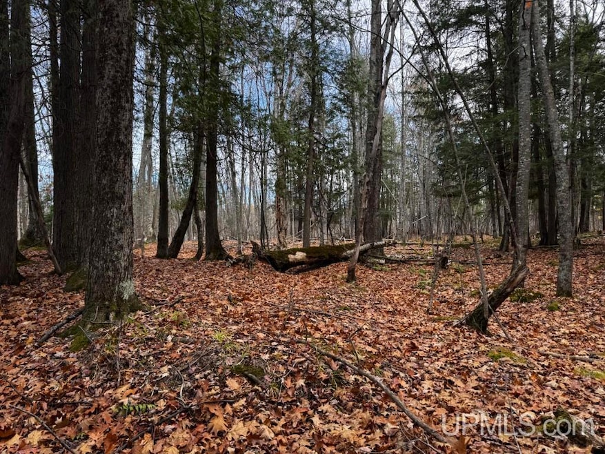 TBD Skanee Rd, Skanee, MI 49962 - photo 1