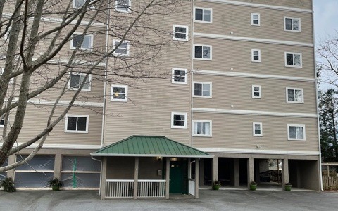 Main View