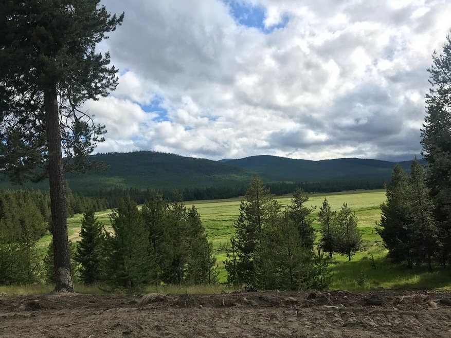 View of Meadow below