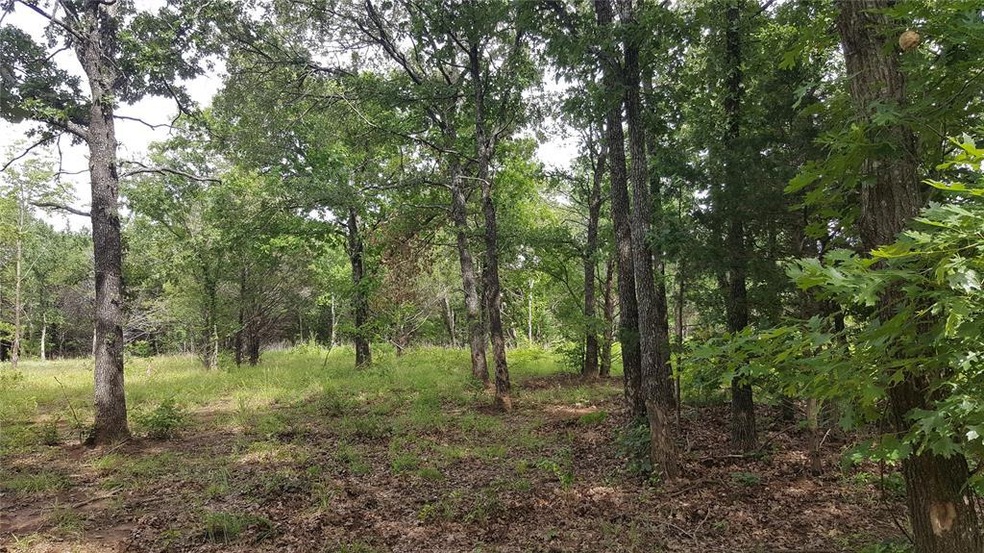 Lot 78 Riner Rd, Pottsboro, TX 75076 - photo 1