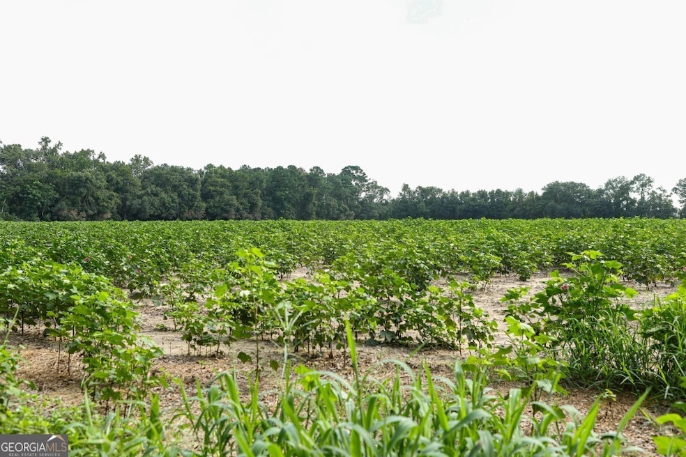 0 Twin Forks Rd unit TRACT 2 10586435, Statesboro, GA 30458 - photo 1