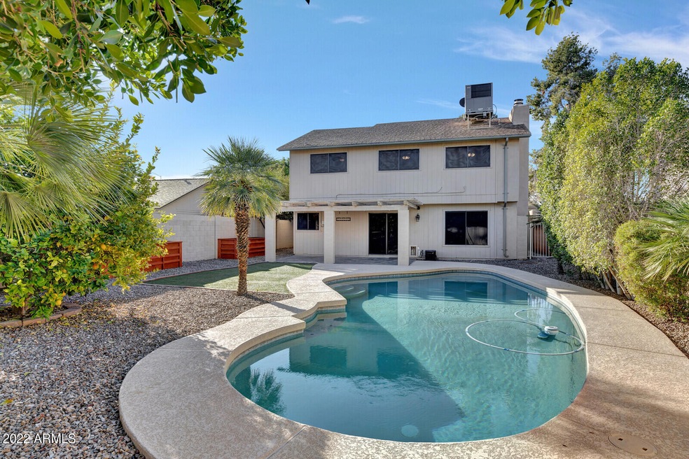Backyard with Awesome Pool