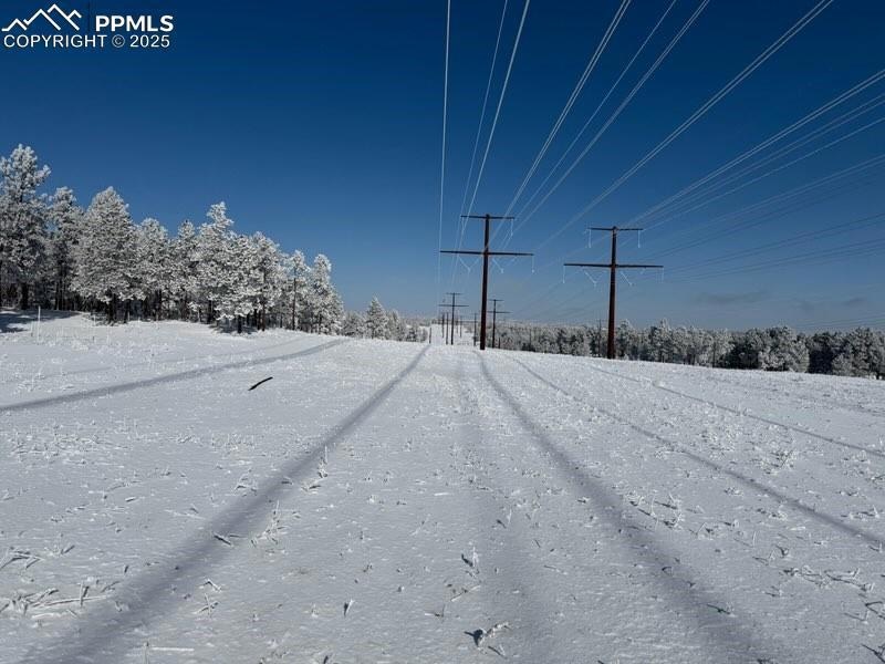 12196 Goodson Rd, Colorado Springs, CO 80908 - photo 1