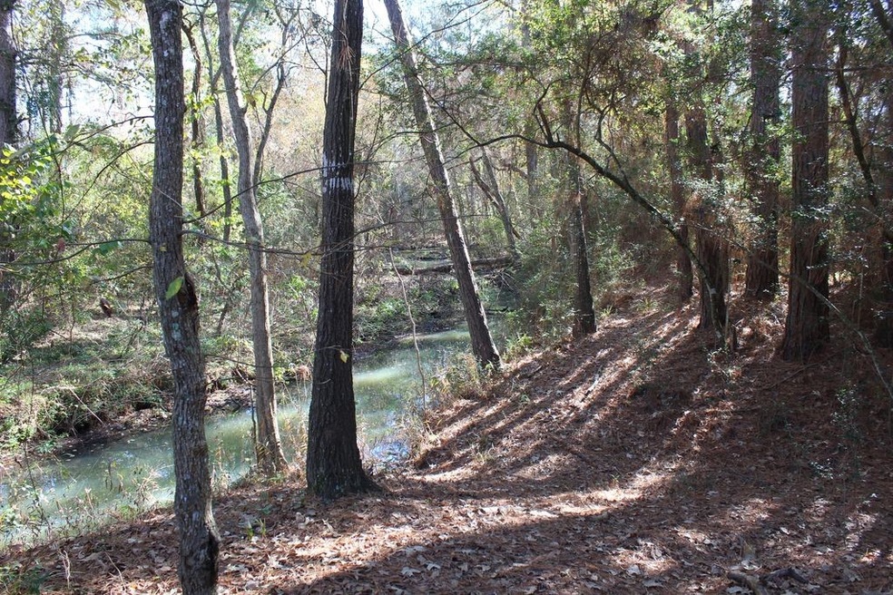 Sloping terrain on this .86 acre lot leads to a creek in the back of the property