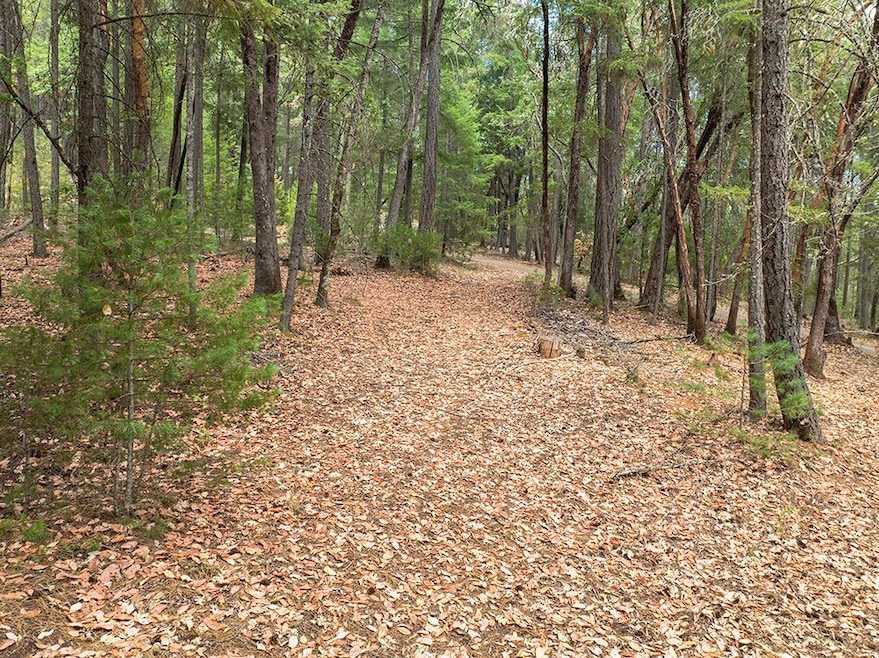 614 Thornbrook Dr, Merlin, OR 97532 - photo 1