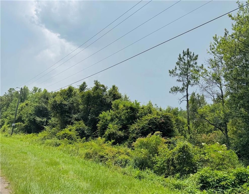 View of undeveloped land