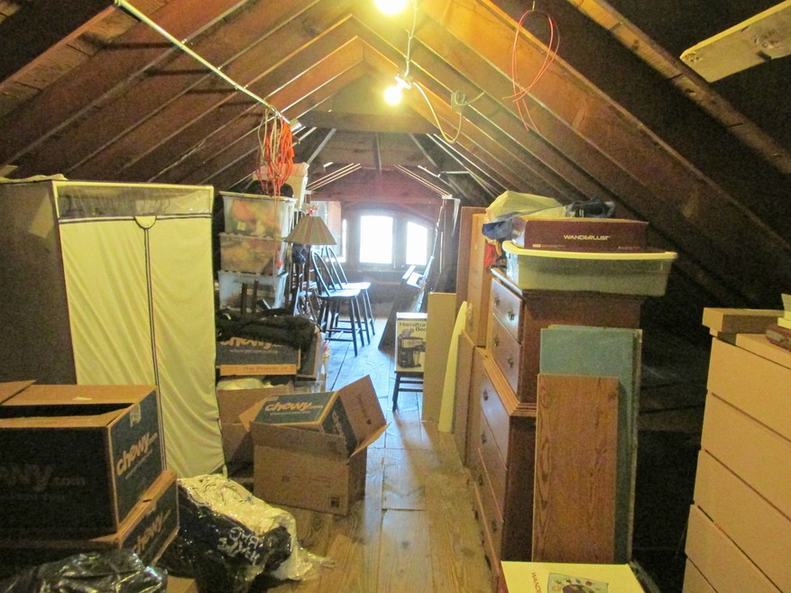 1564 E Forest Ave, Des Plaines, IL 60018 - photo 1