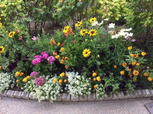 Beauty at Meadow Lake