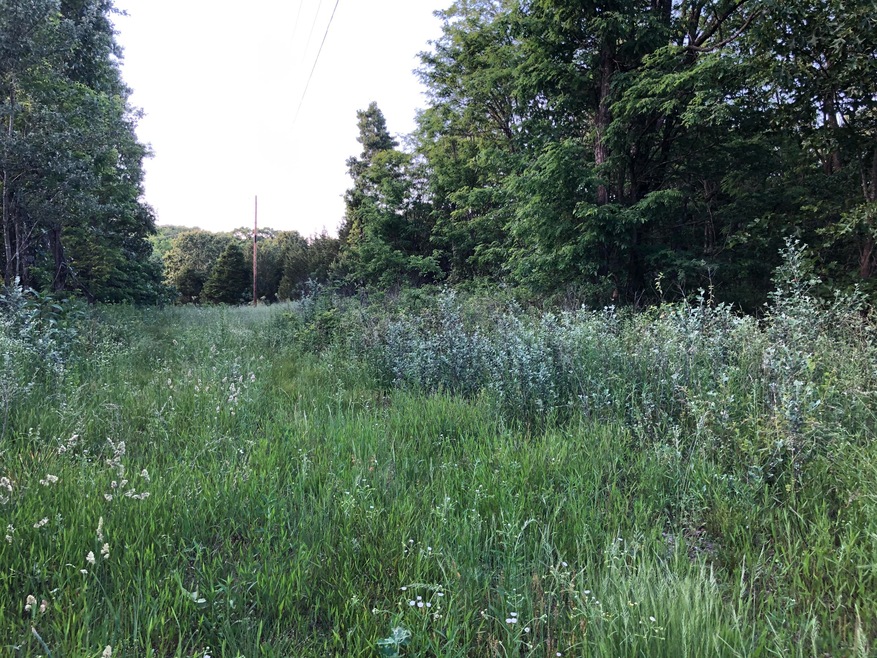 29751 State Highway 248, Jenkins, MO 65605 - photo 1