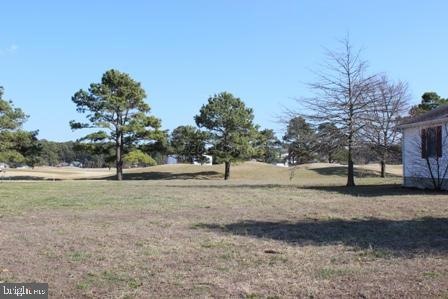 302 Navigator Dr, Greenbackville, VA 23356 - photo 1