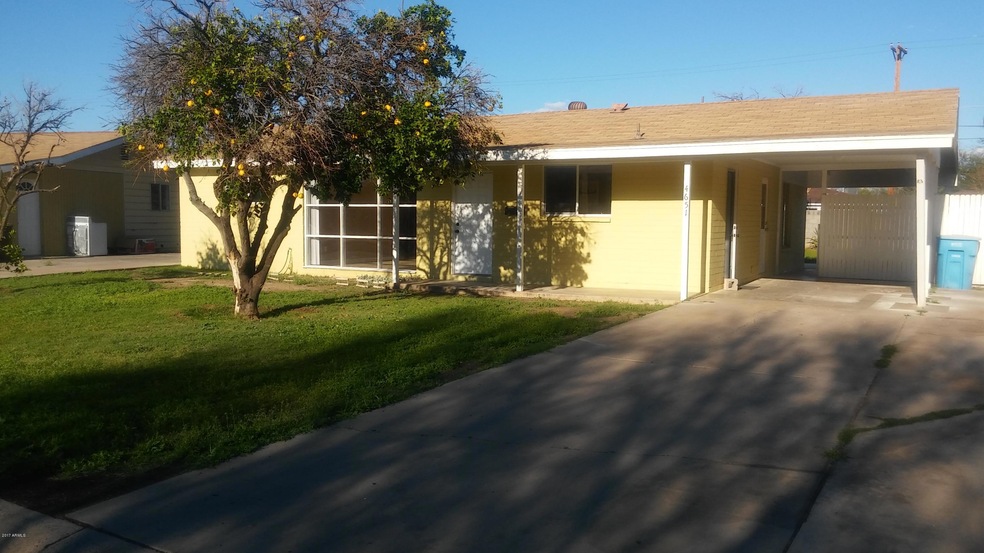 Front Yard