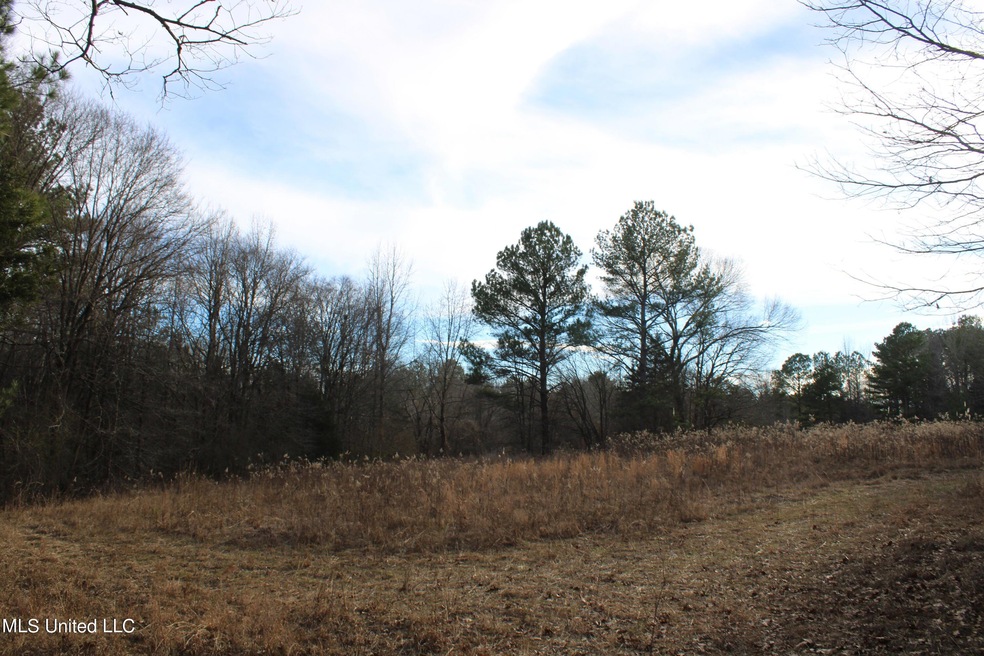 land