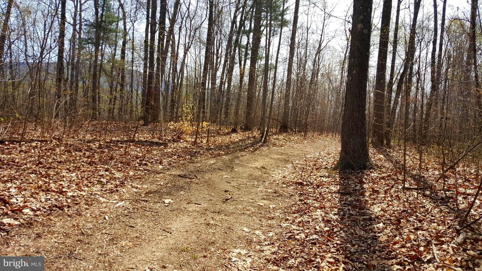 0 Stonewall Jackson Hwy unit 1001864226, Front Royal, VA 22630 - photo 1