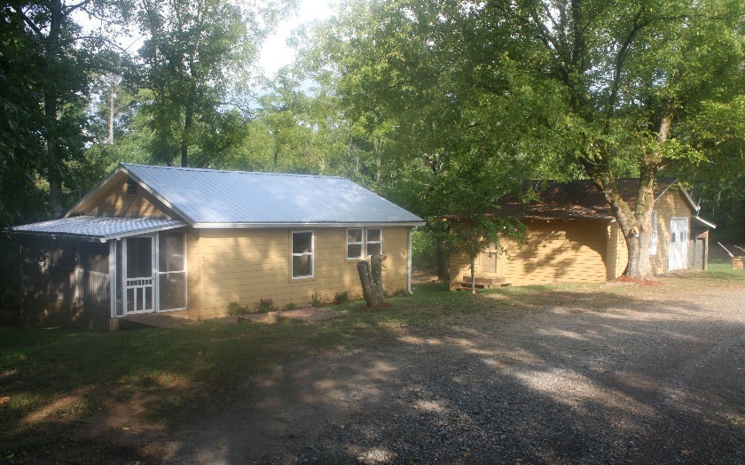 Main View