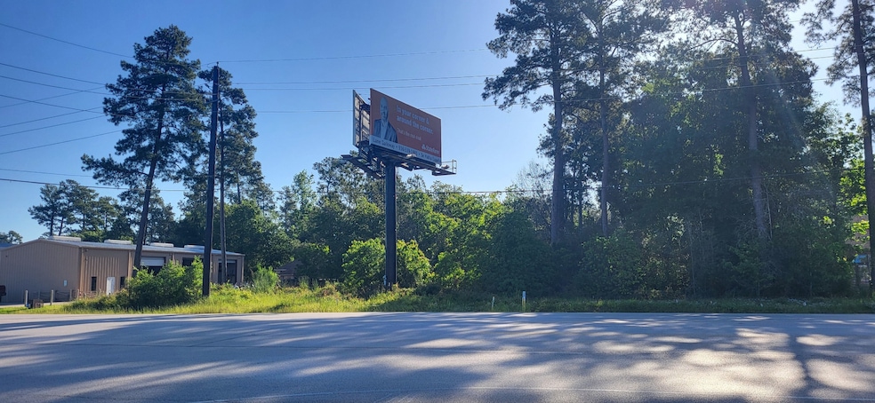 818 Honea Egypt Rd, Magnolia, TX 77354 - photo 1