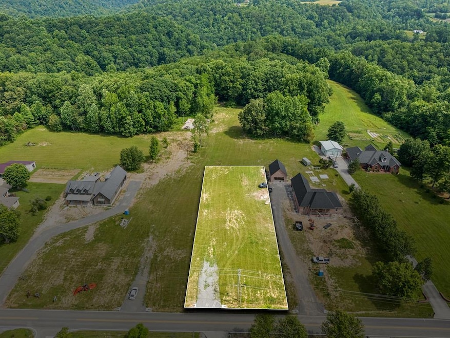 Main View