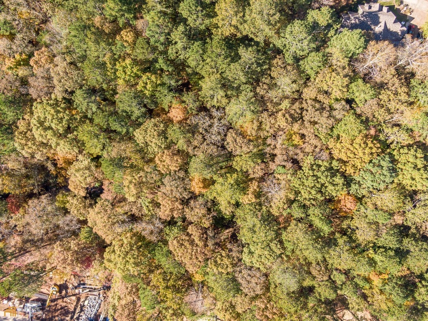DJI_0319-HDR