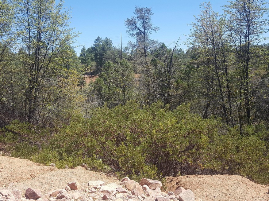 Pic 1