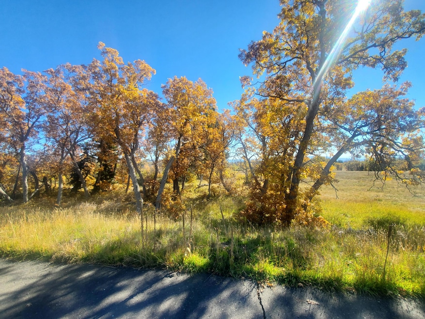 248 N Spring Dr, Kolob, UT 84767 - photo 1