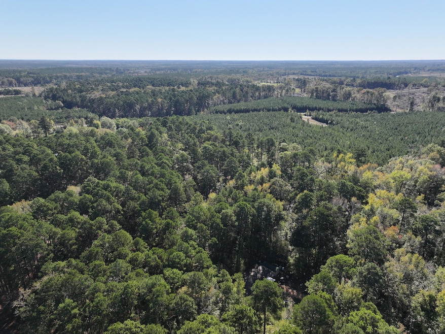 0 Canal St, Ringgold, LA 71068 - photo 1