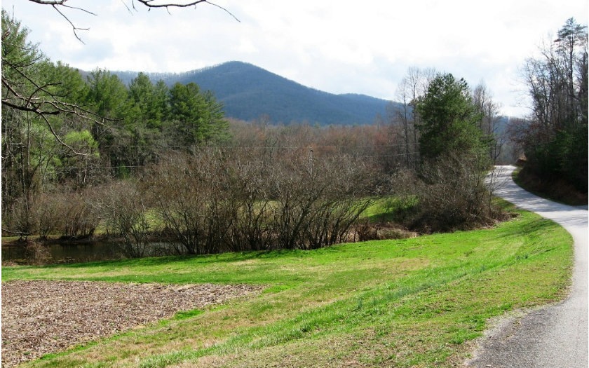 L3 Doublehead Gap Rd, Blue Ridge, GA 30513 - photo 1
