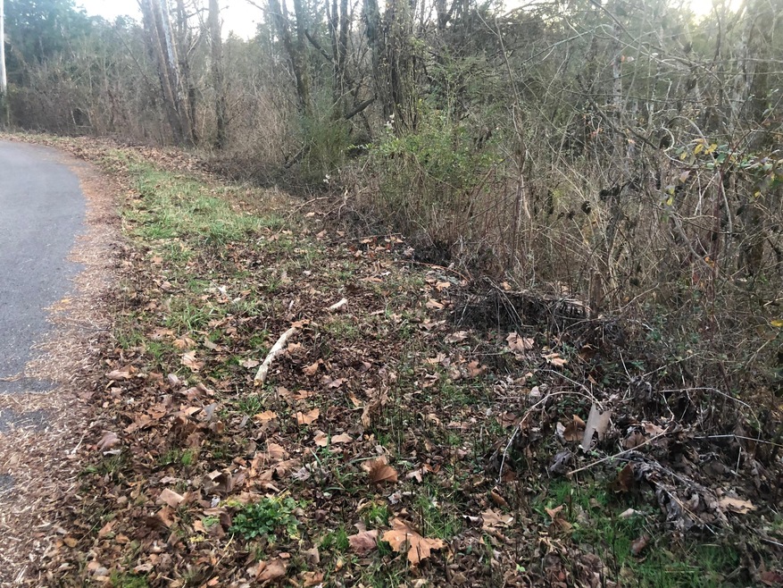 Vacant Land