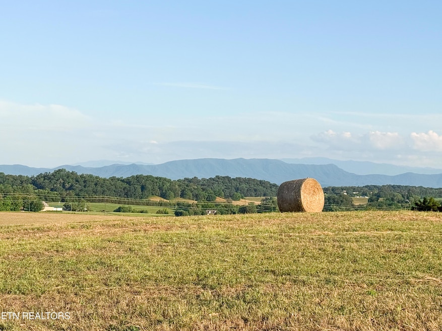 0 Lot 13 Summerset Dr unit 1307770, Talbott, TN 37877 - photo 1