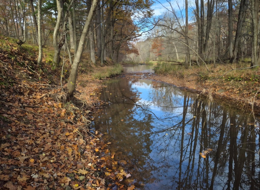 5106 Arpin Hansen Rd, Vesper, WI 54489 - photo 1