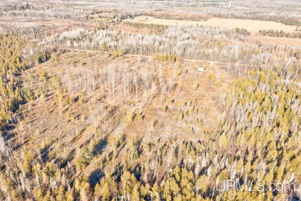 9311 County 509 Y Rd, Ensign Township, MI 49878 - photo 1