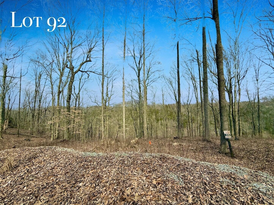 Lot 92 Cascade Cir, Russell Springs, KY 42642 - photo 1