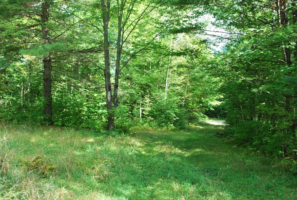 0 South Rd, Harmony, ME 04942 - photo 1