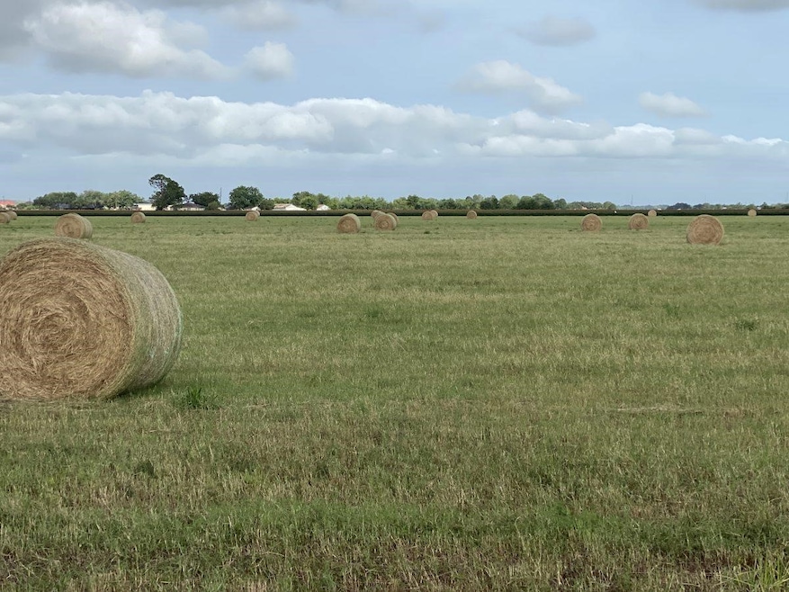 000 Padon Rd, Needville, TX 77461 - photo 1