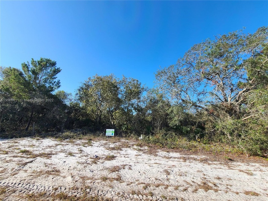 801 County Road 29, Lake Placid, FL 33852 - photo 1