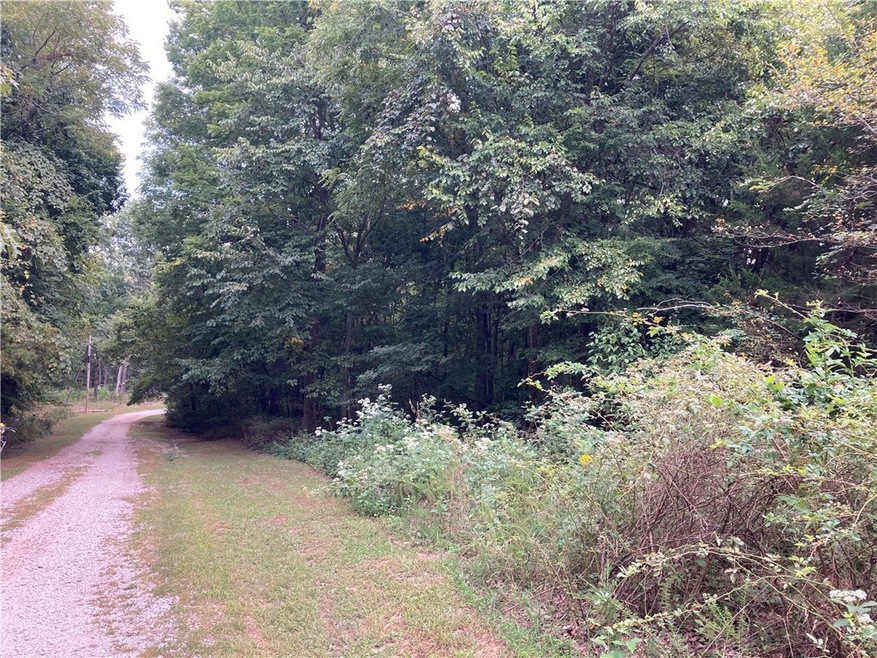 Looking down the road
