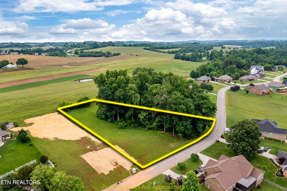 157 Houston Springs rd -5