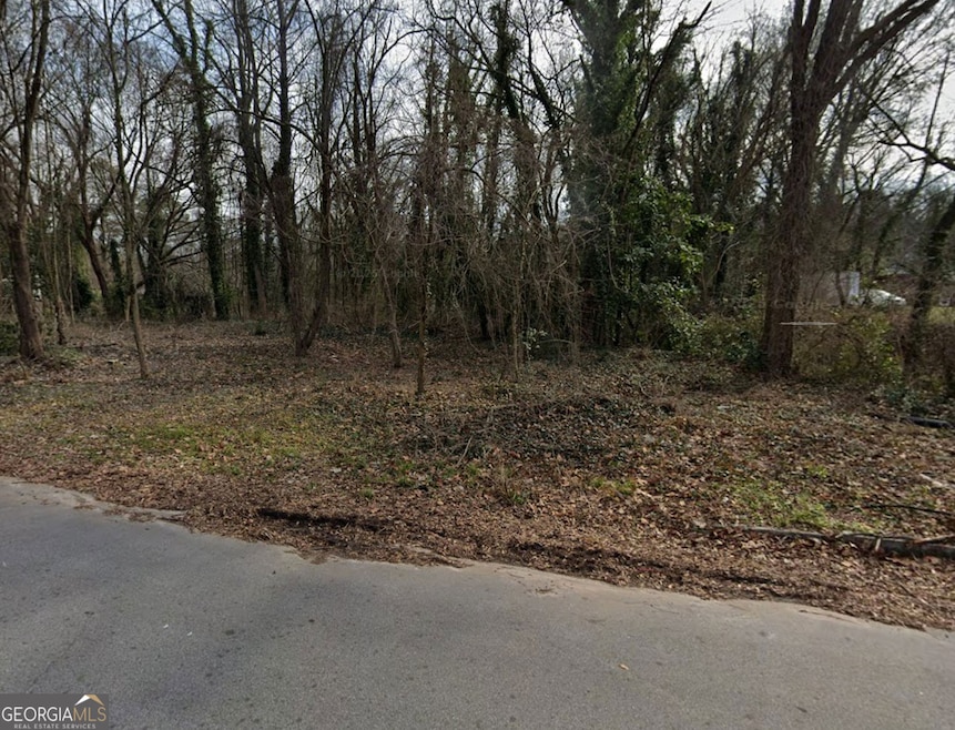 0 Birch St SW unit 10654160, Atlanta, GA 30310 - photo 1