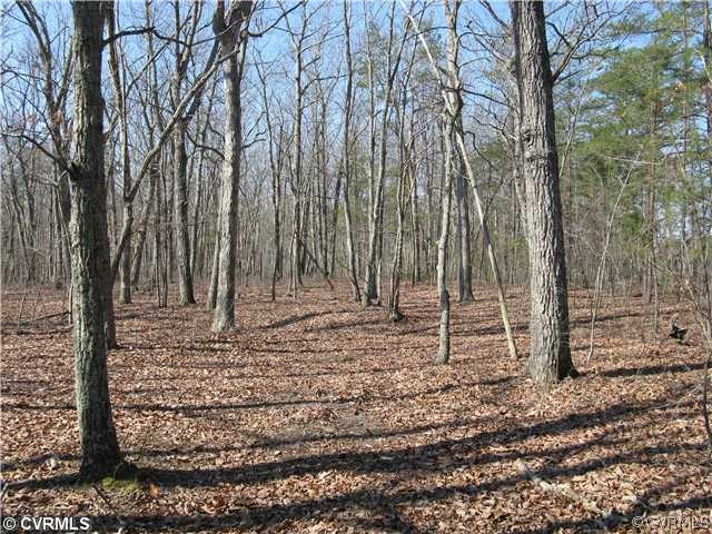View - All wooded
