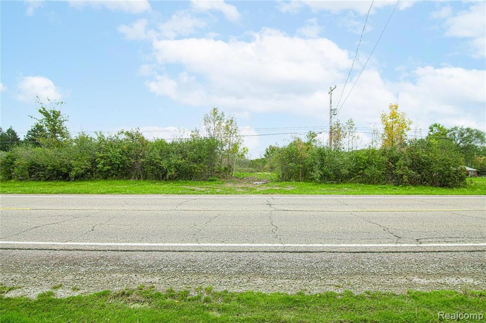 10175 Fenton Rd Plot of Land (1).jpg