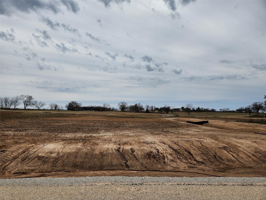 217 Lonicera Ln, Paradise, TX 76073 - photo 1